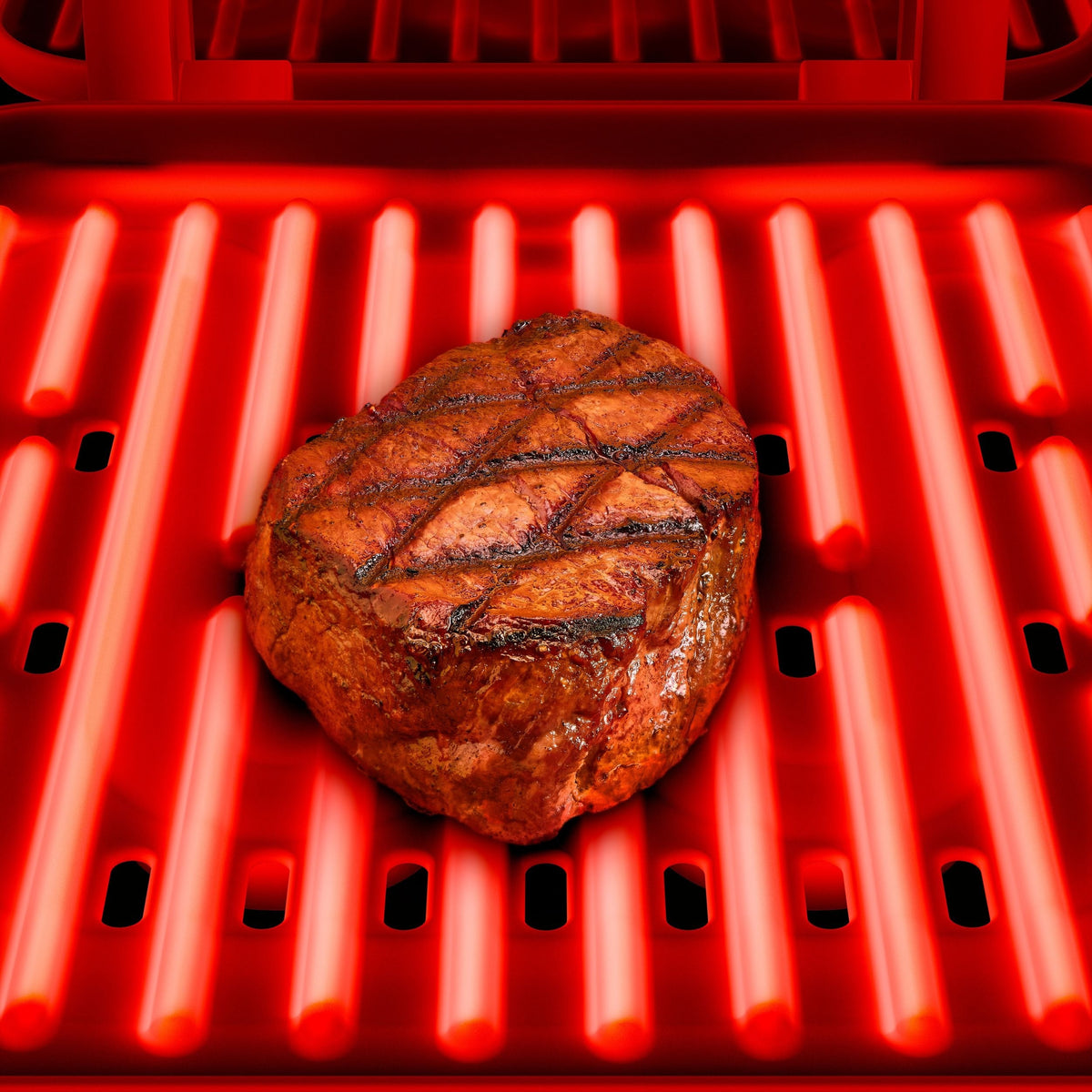Submersible Press and Panini Grill