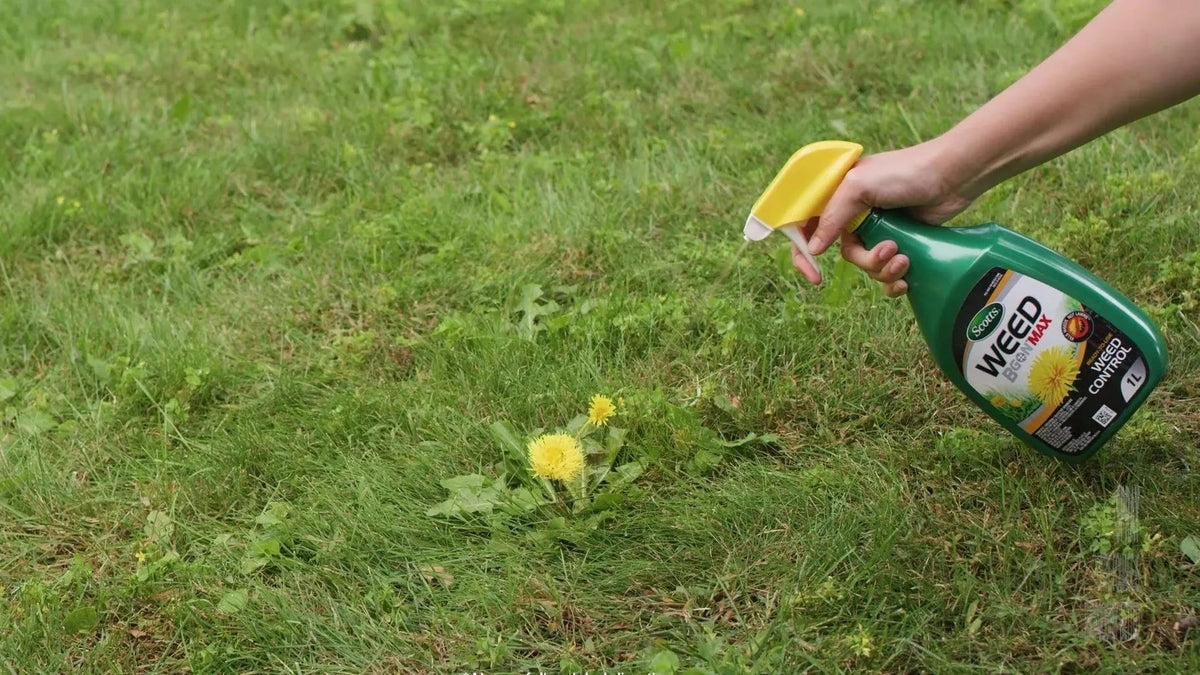 Weed B Gon MAX Weed Control Concentrate for Lawns, 1-L