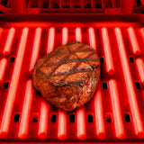 Submersible Press and Panini Grill