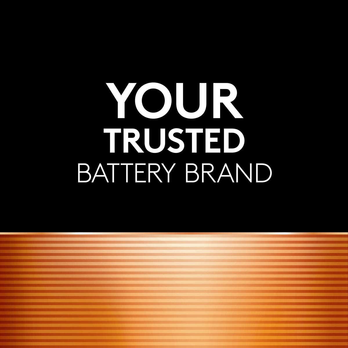 Coppertop AAA Alkaline Batteries, All Purpose, 8-pk