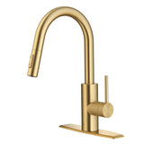 Oletto Single Handle High Arc Pull Down Kitchen Faucet, Brushed Brass